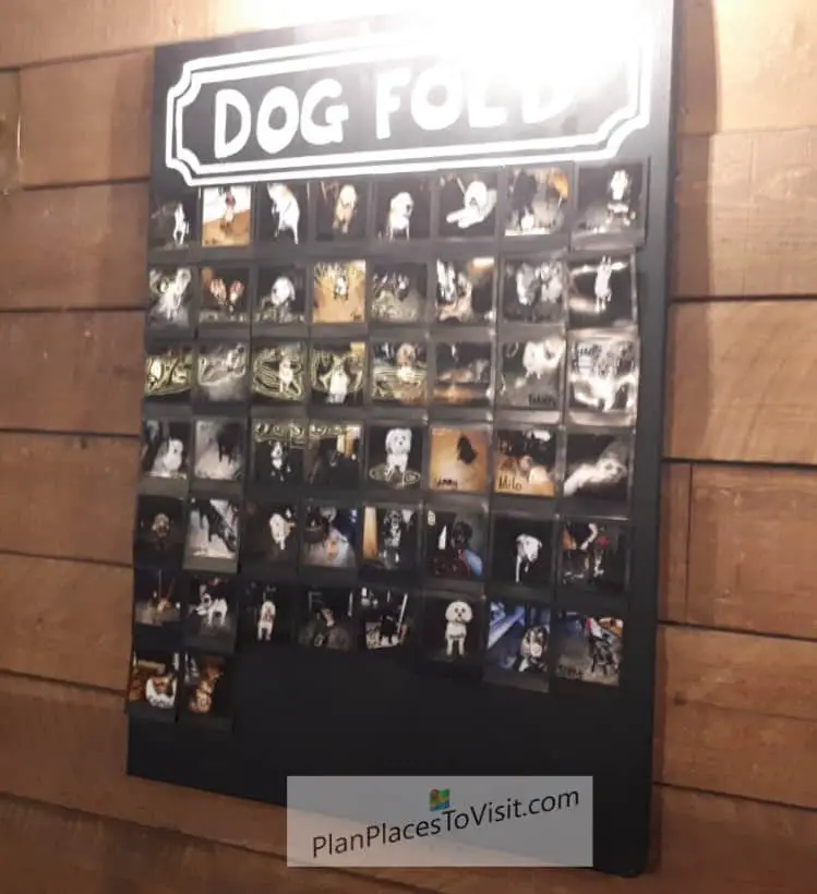 Dog Fold Hall of Fame at Dean Clough Halifax


